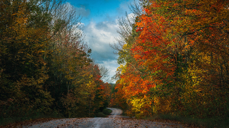 Road Trip by Andrew March